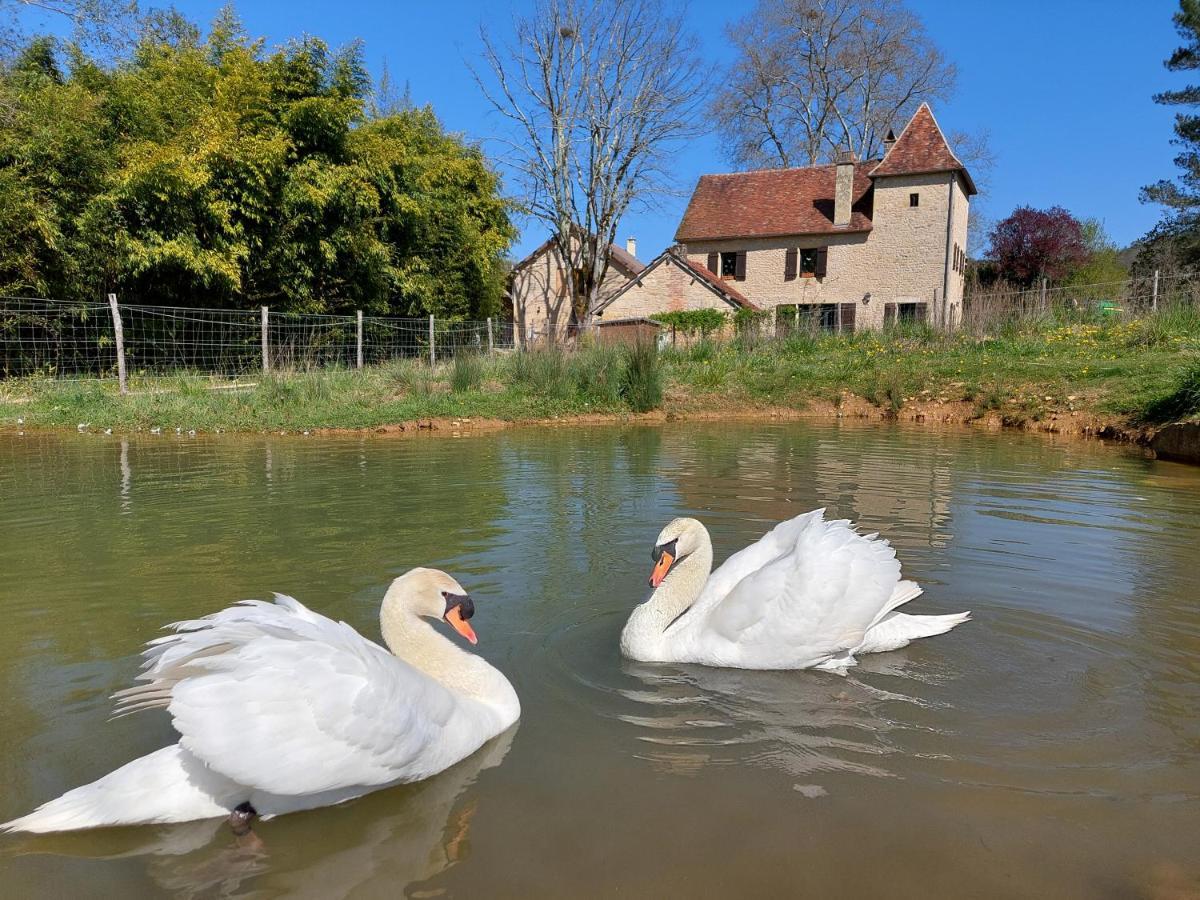 Ferme Des Petites Oreilles 4 Etoiles Montignac-Lascaux Exterior photo